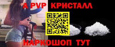 гашик Жуковский